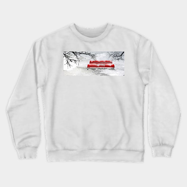 Winter Park Crewneck Sweatshirt by danieljanda